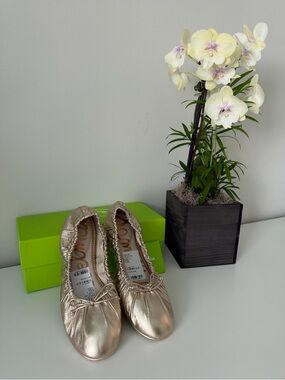 Sam Edelman Metallic Champagne Ballet Flats